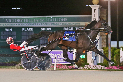 Bulldog Hanover 9-23-22