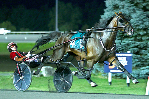 Bulldog Hanover 9-3-22