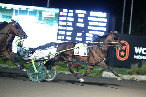 Bulldog Hanover 9-4-21