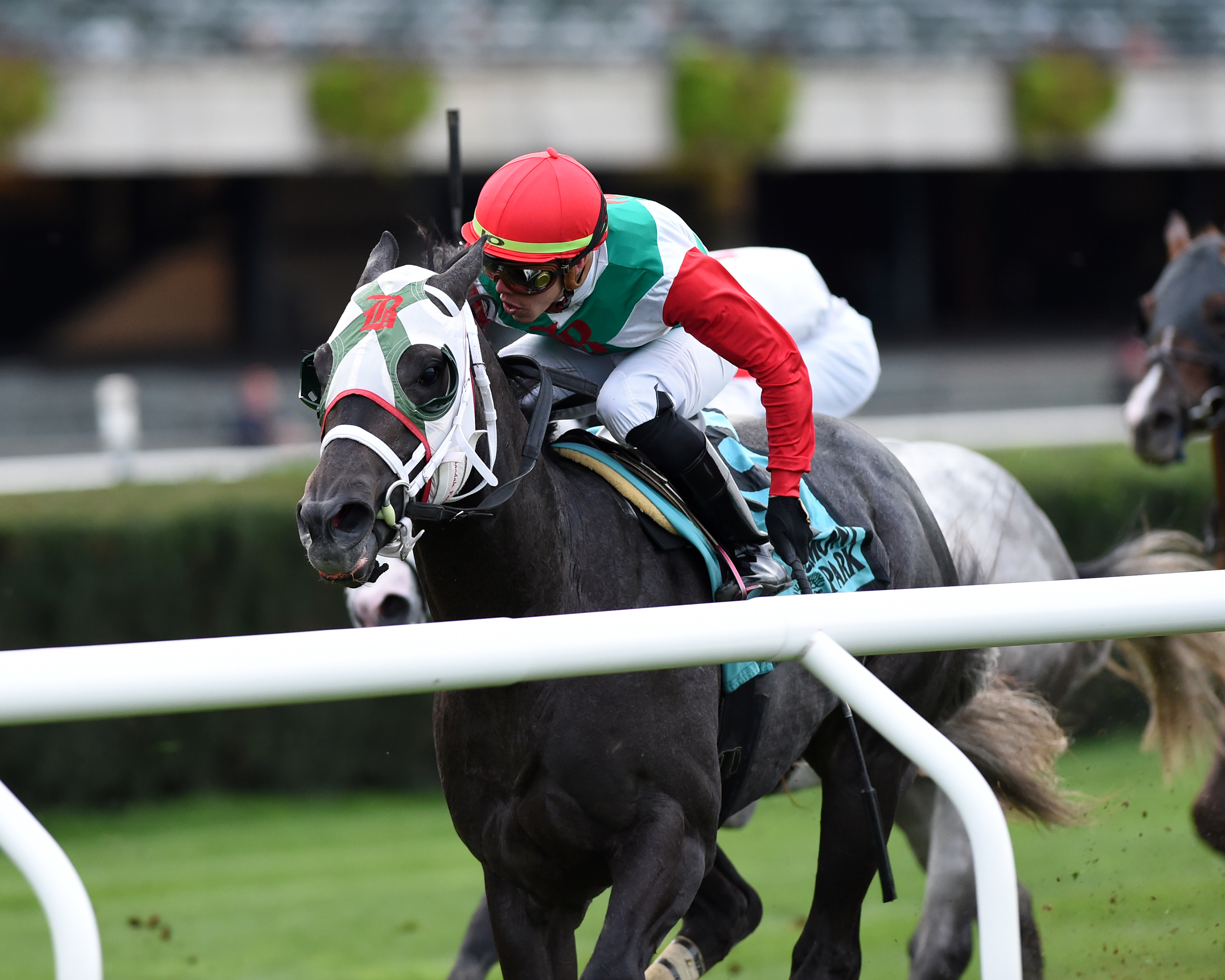 Buy Land and See wins the 2019 Awad Stakes