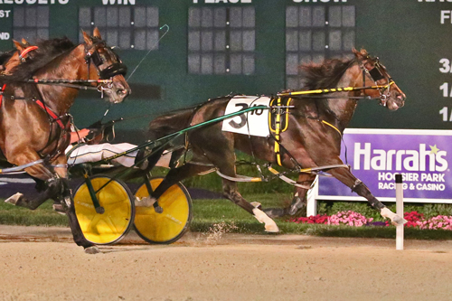Buzzsaw Russ 8-19-22