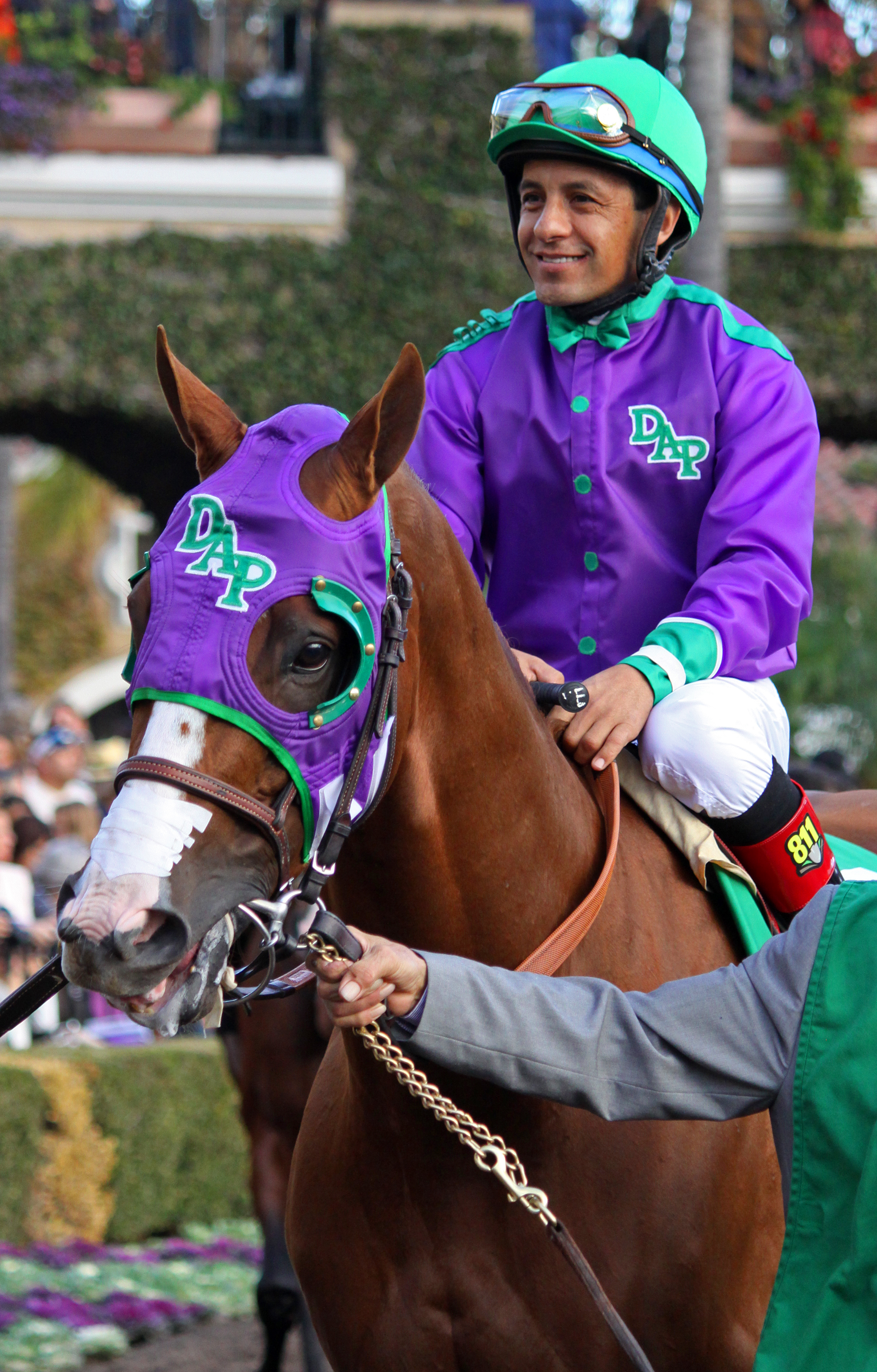 california chrome