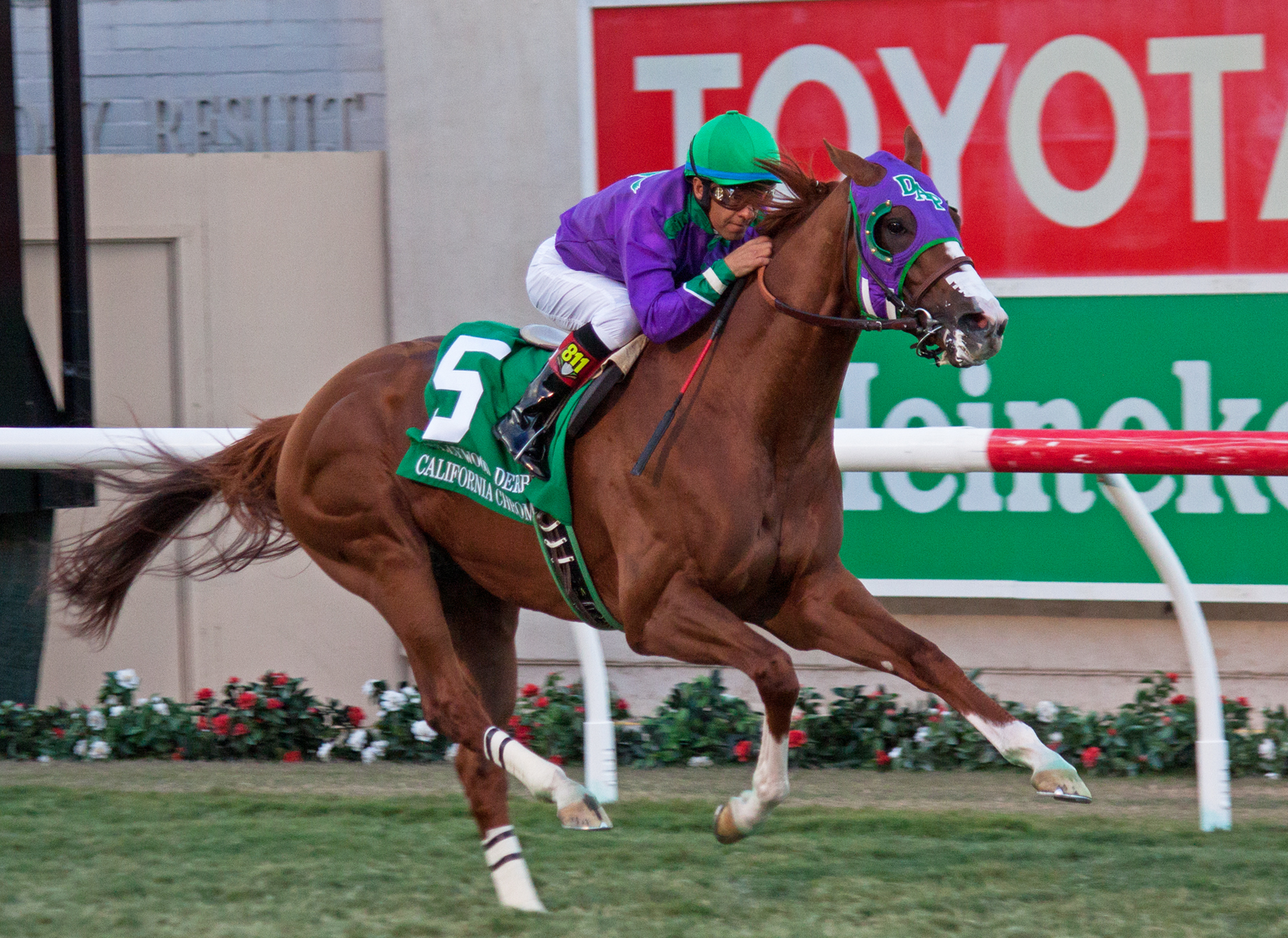 California Chrome