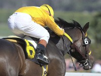 Came Home