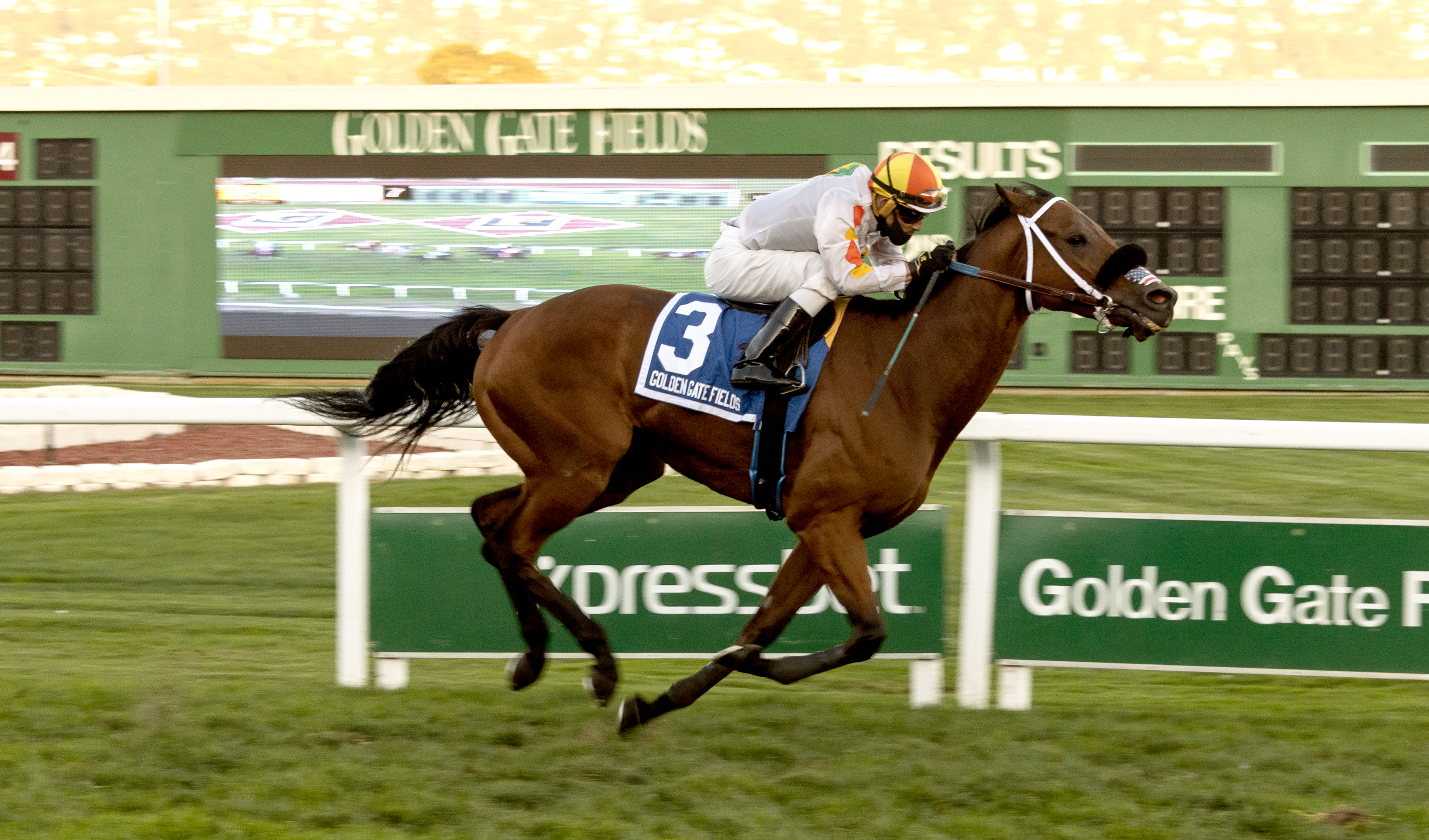 Camino Del Paraiso wins Grace Stakes 11-7-2020