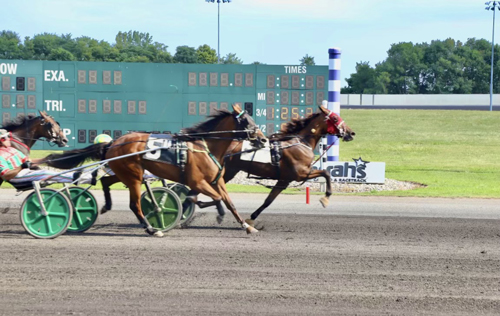 Cando Volo 8-28-22