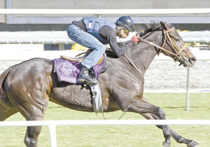 Cannonball