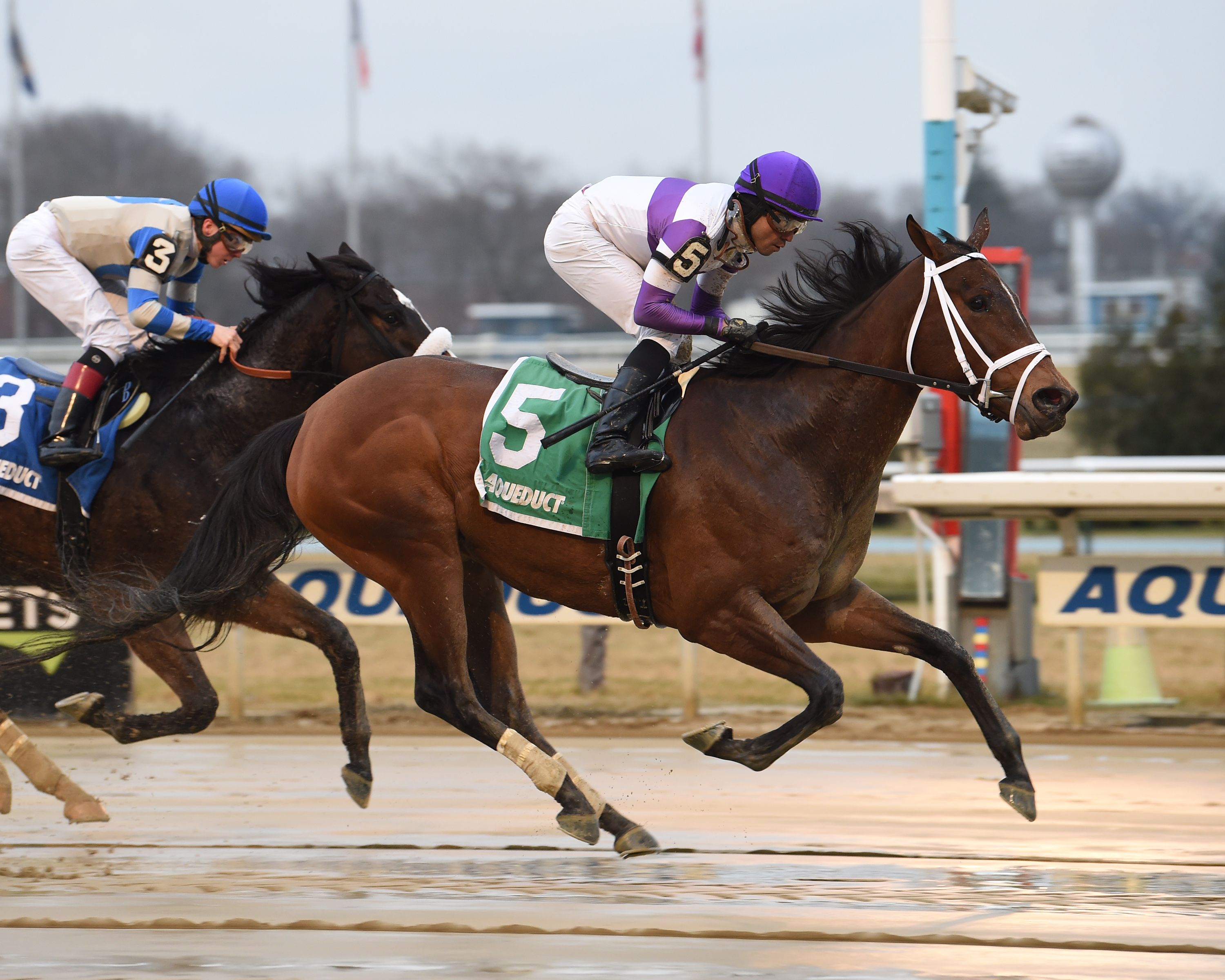 Cash Offer wins the 2020 La Verdad Stakes