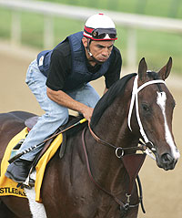 Castledale