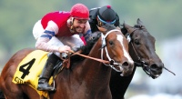 Castledale & Rock Hard Ten