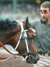 Castledale