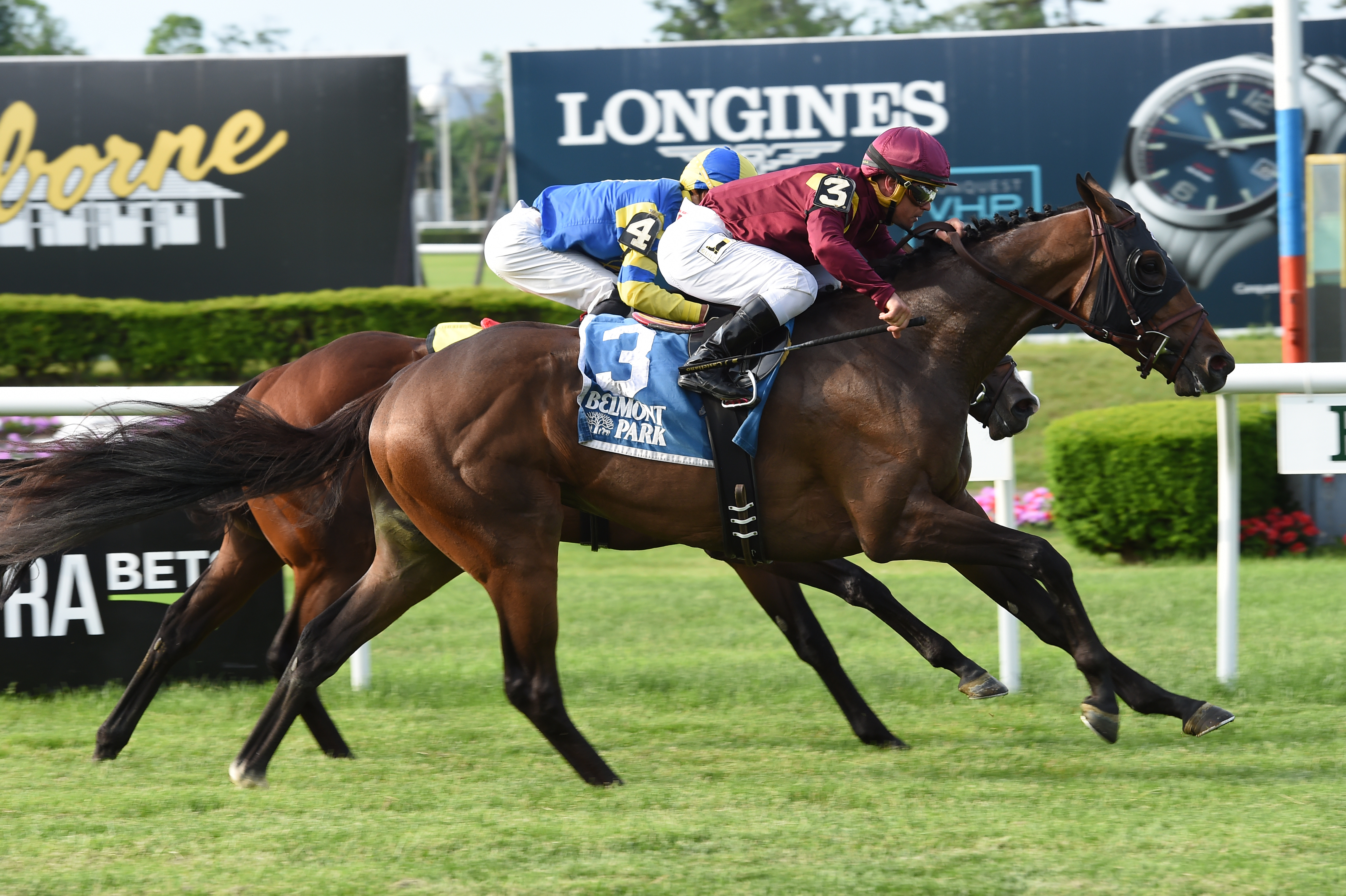 Catholic Boy (No. 3) wins the 2018 Pennine Ridge Stakes