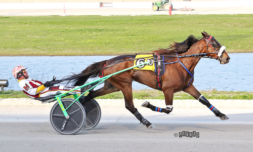 Caviar Gold 4-27-22