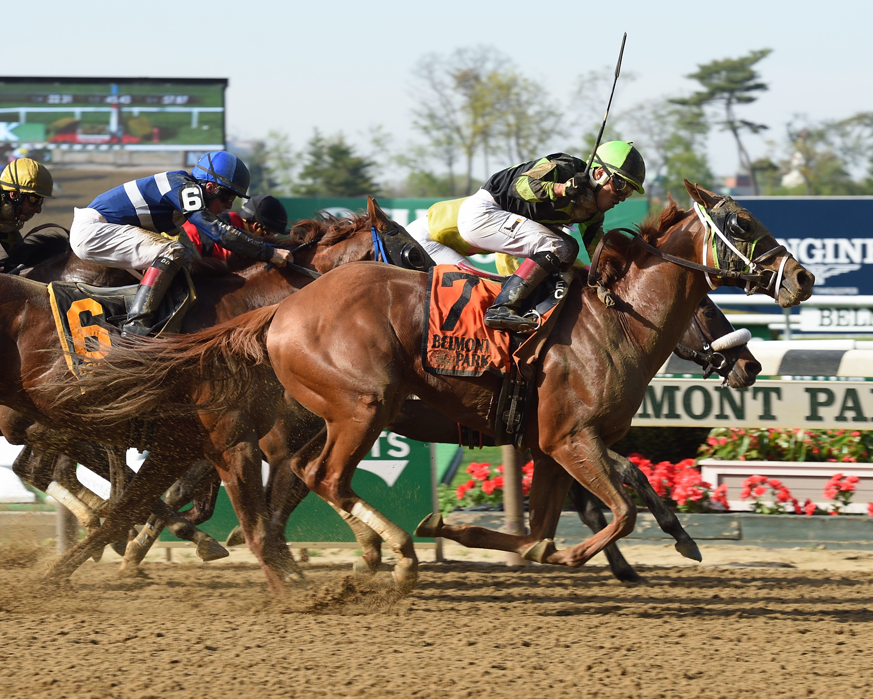 Celtic Chaos wins the Affirmed Stakes