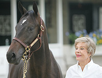 Alice Chandler & Storm Cat colt