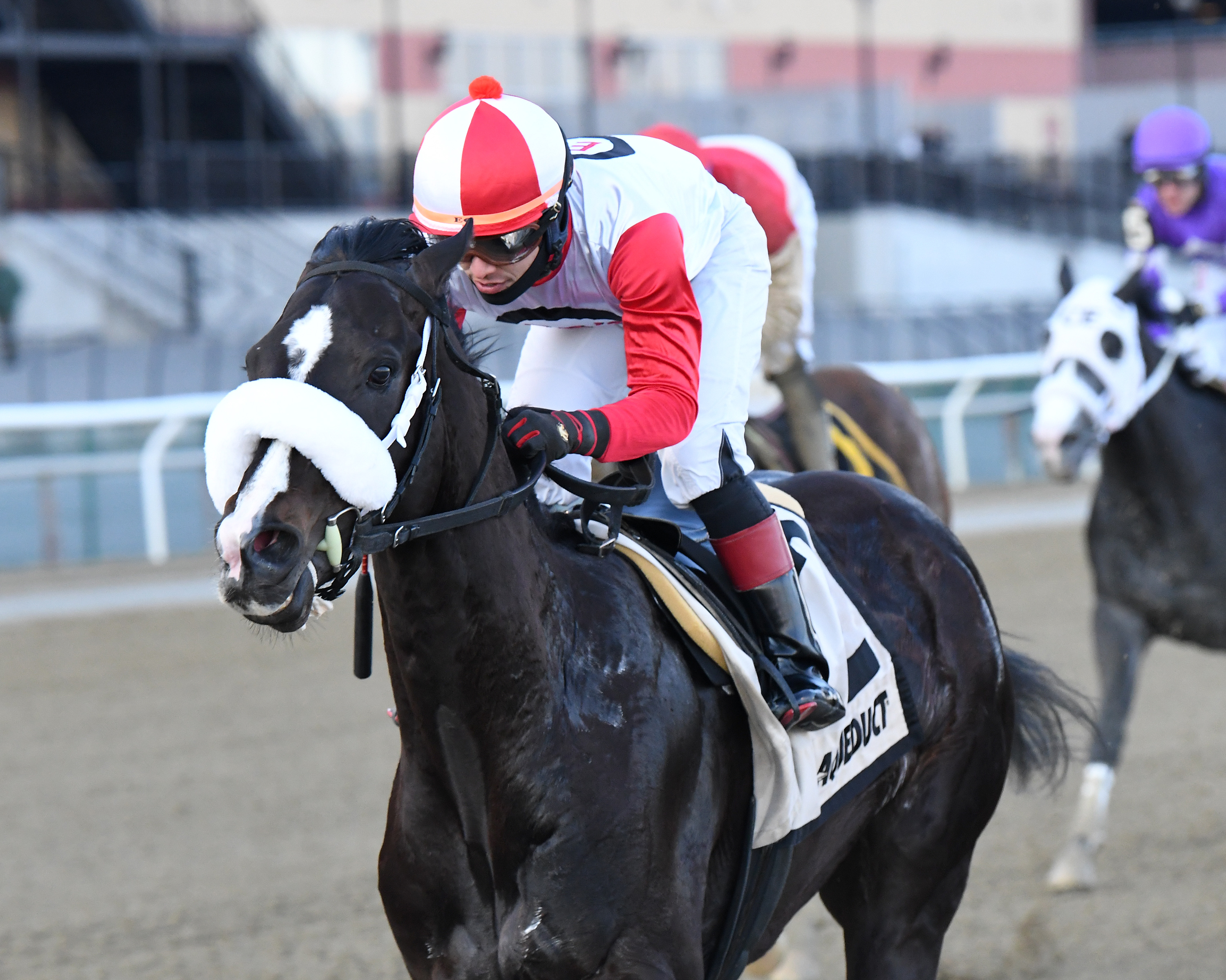 Chowda wins the 2020 Gander Stakes