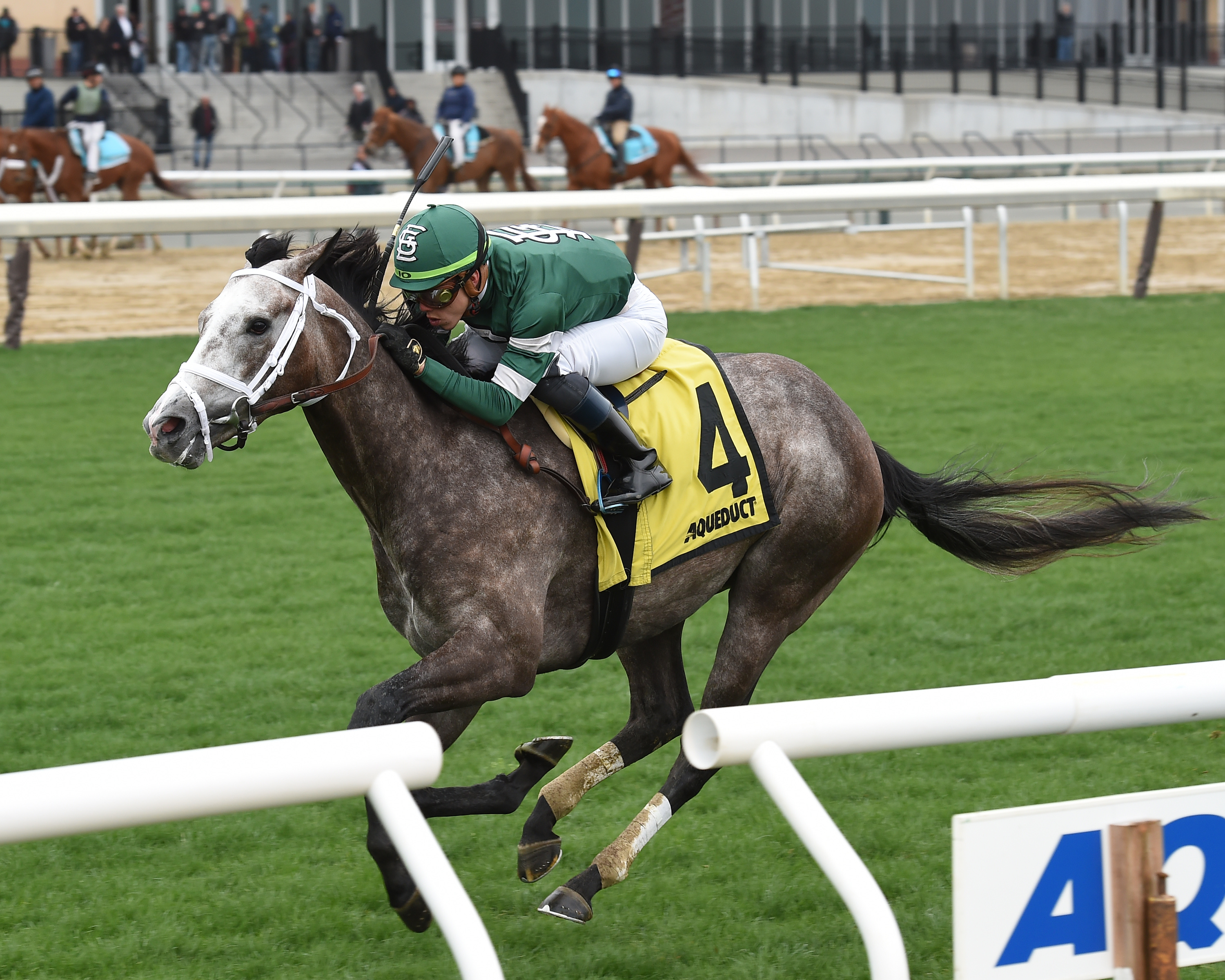 Clint Maroon wins the 2019 Woodhaven Stakes