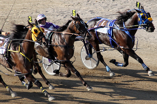photo finish 1-19-23