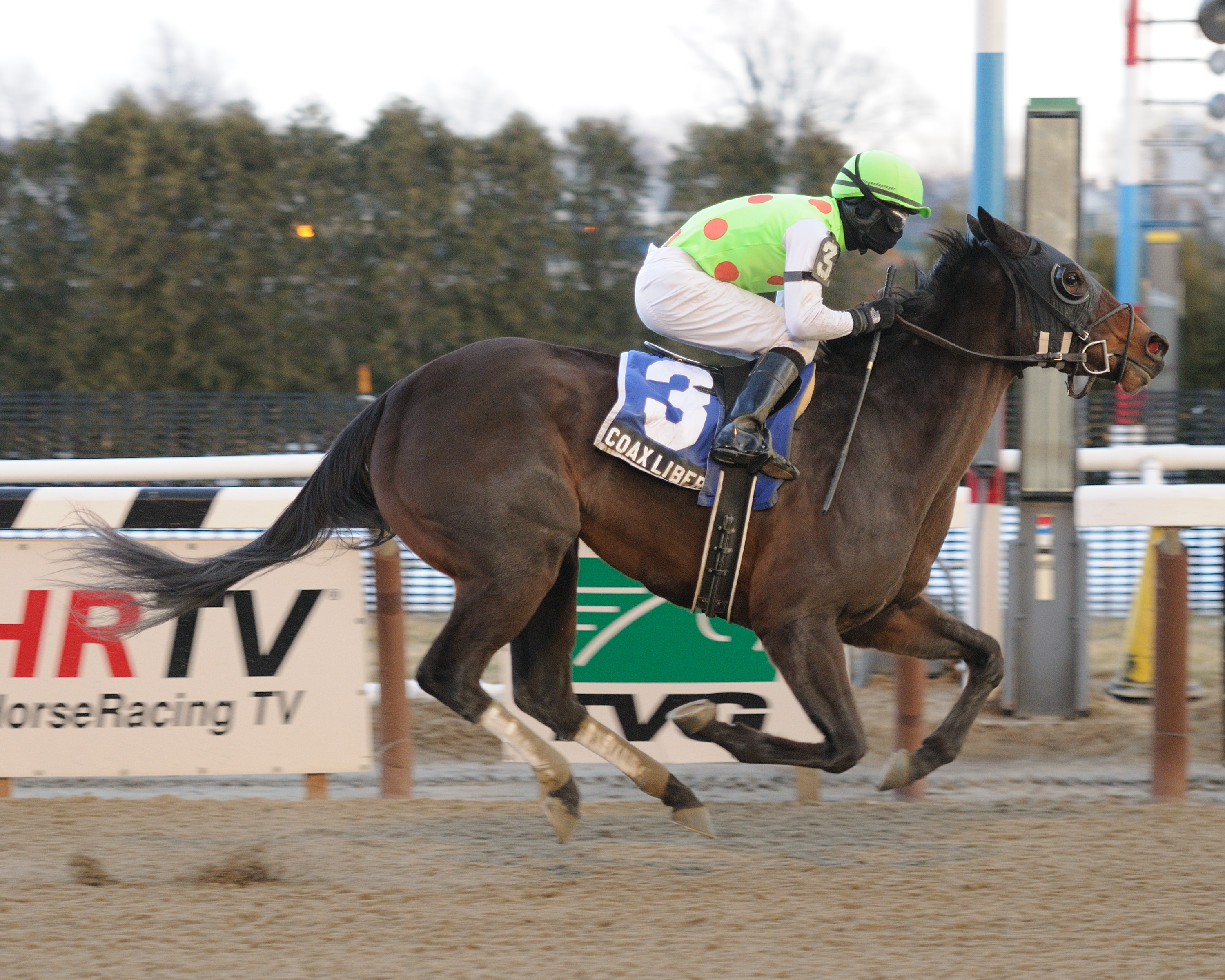 Coax Liberty 2-12-2011