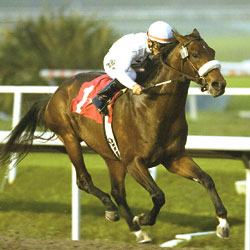 Colonel John