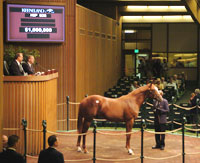 colt by Mr.Greeley