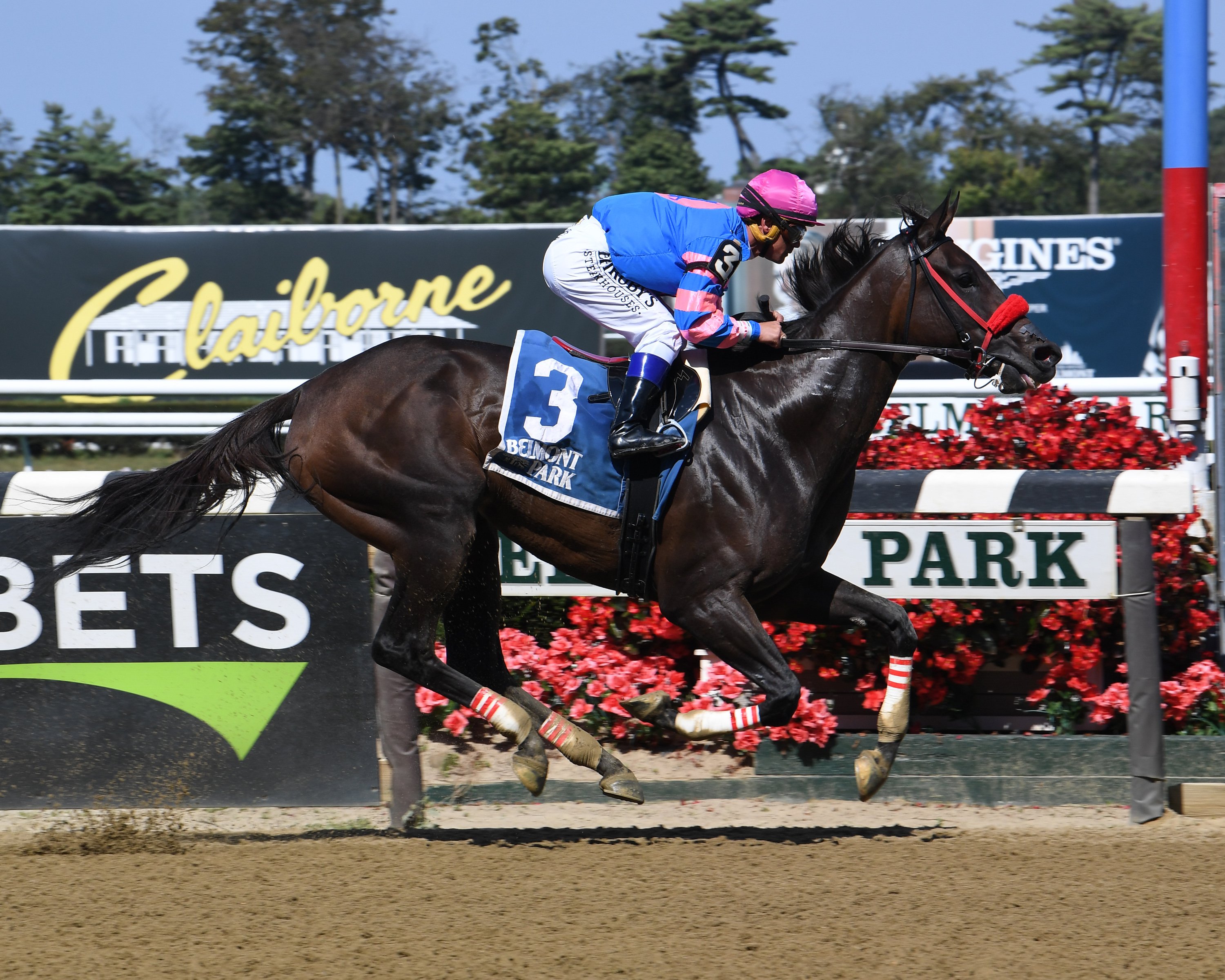 Come Dancing wins the 2019 Gallant Bloom
