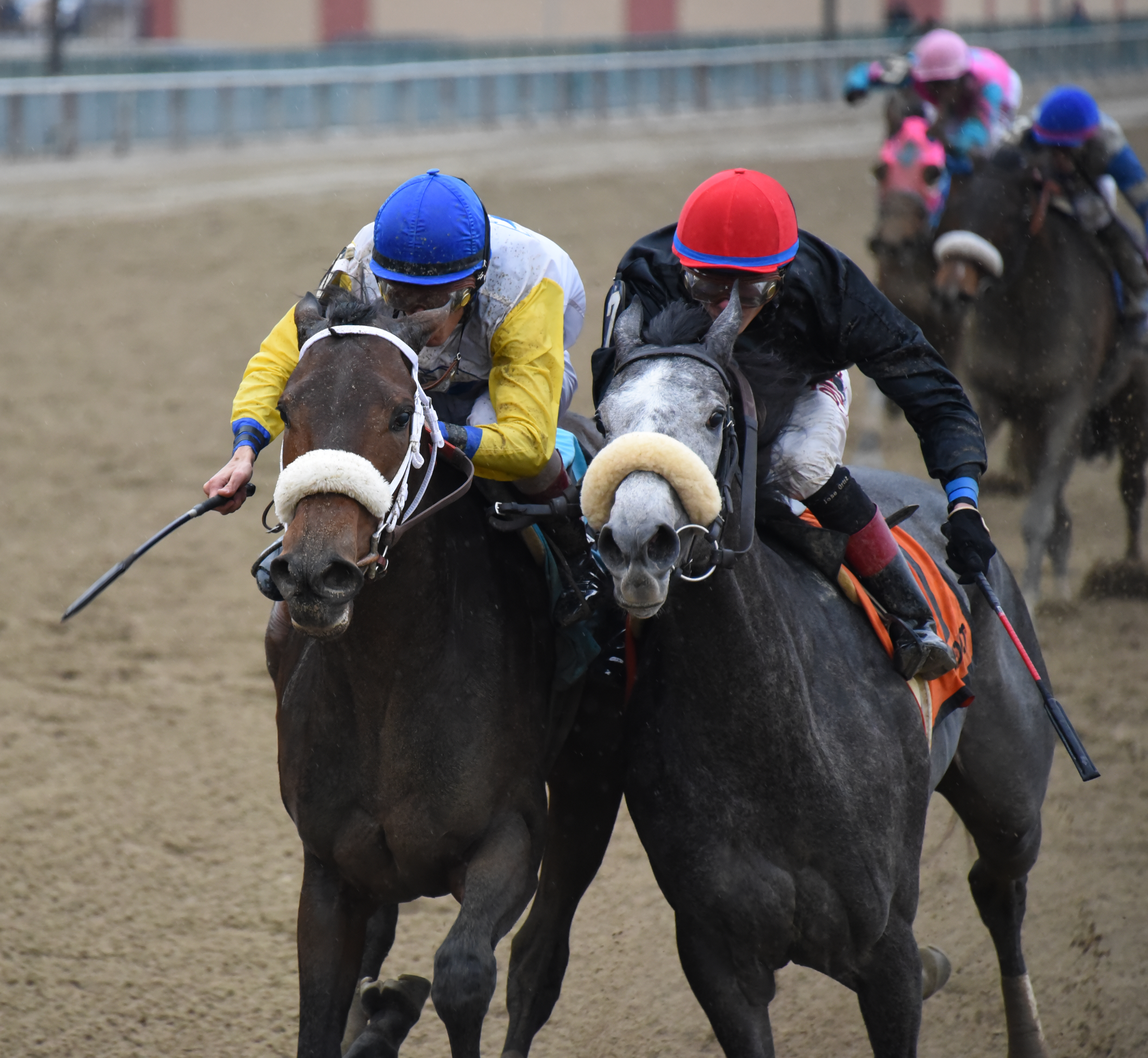 Forever Unbridled