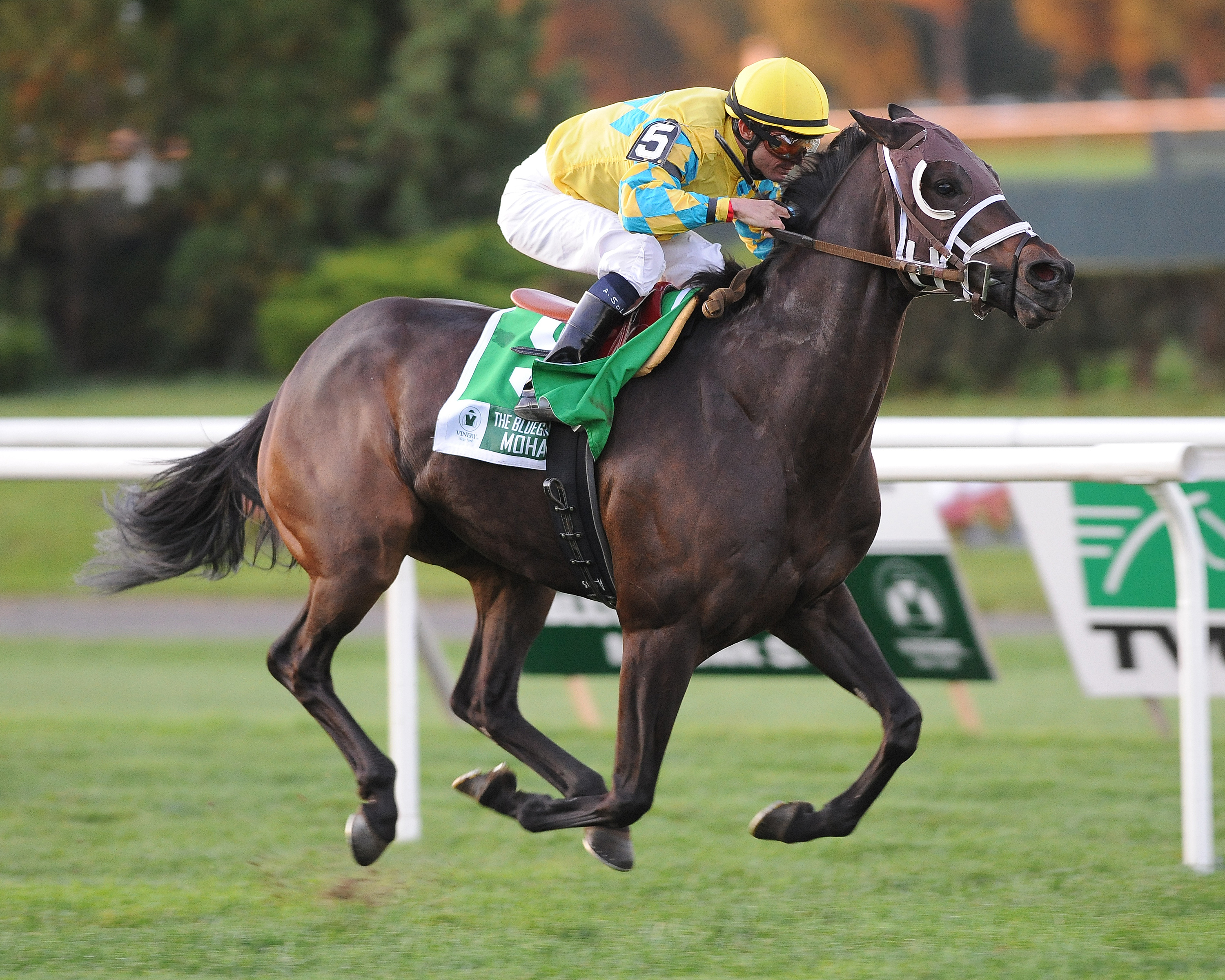 Compliance Officer/Mohawk