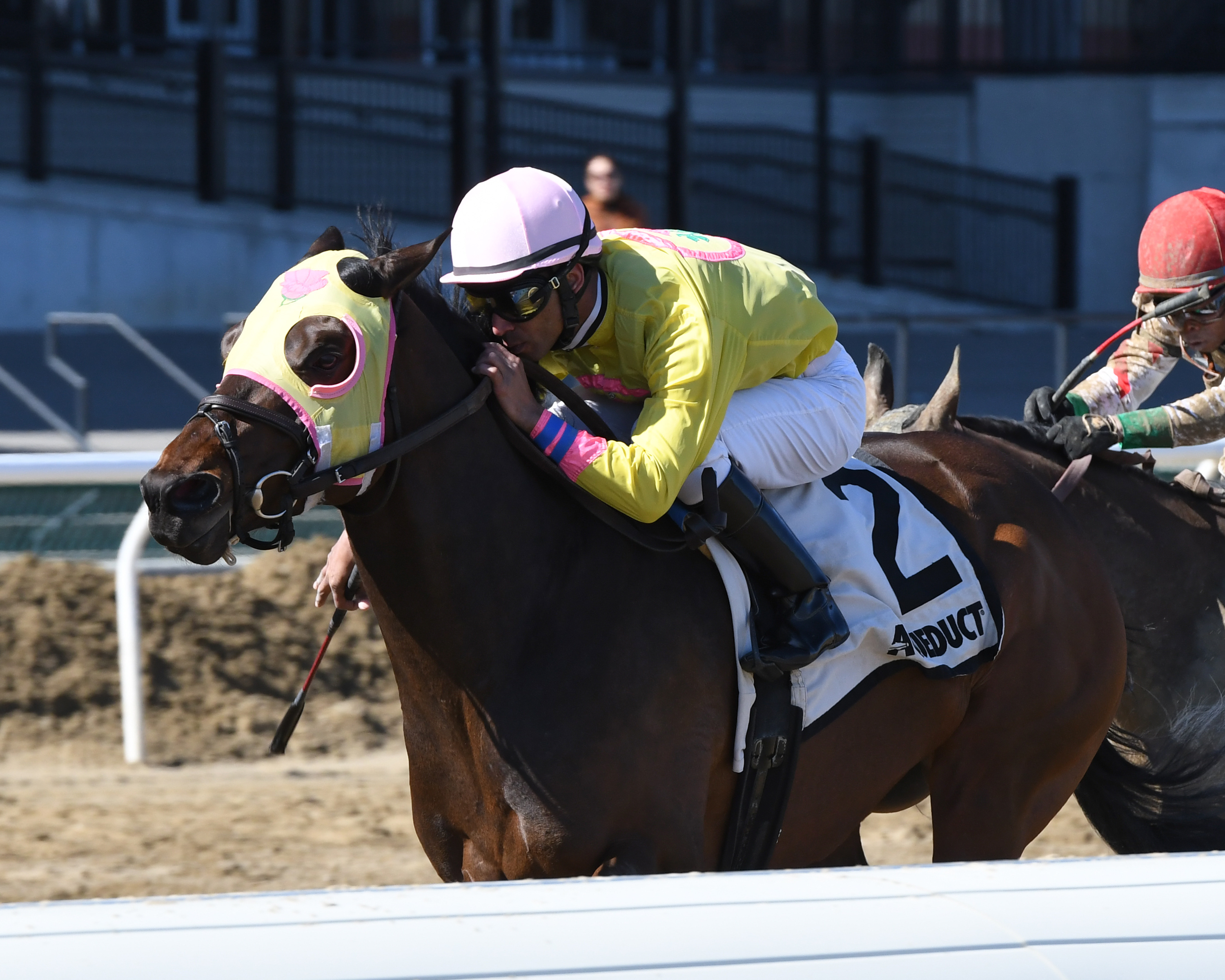 Control Group wins the 2018 Mr. Sinatra NY Claiming Championships
