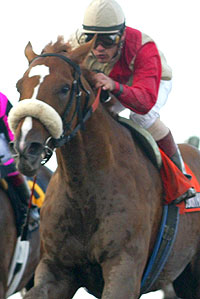 Corinthian