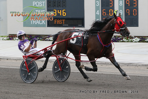 Courtly Choice 8/19/18