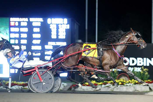 Courtly Choice 8/31/19
