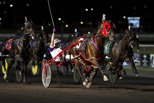 Courtly Choice 7/14/18