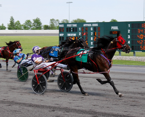 Courtly Choice 5/26/19