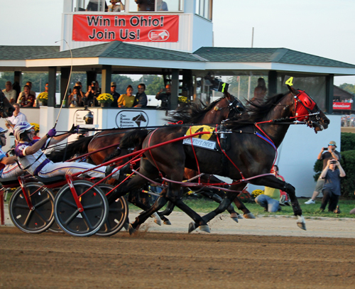Courtly Choice 9/20/18