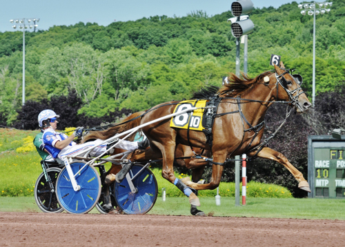 Crantini 7-4-22