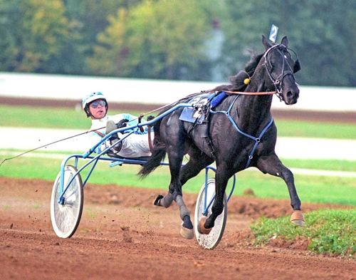 Credit Winner 6-3-22
