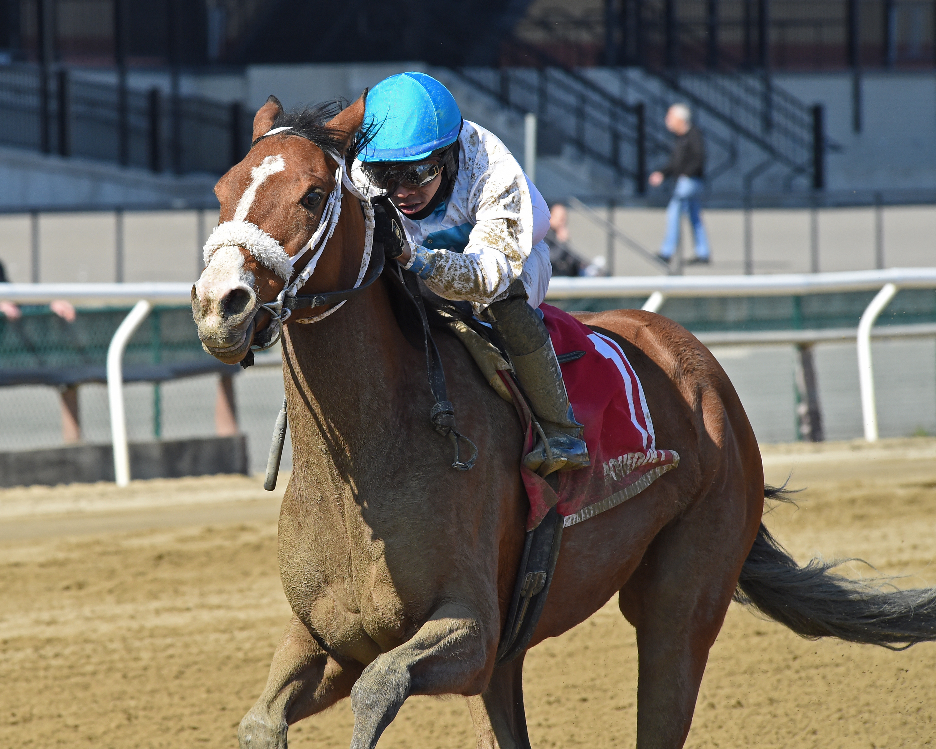 Crimson Frost wins the 2020 Heavenly Prize