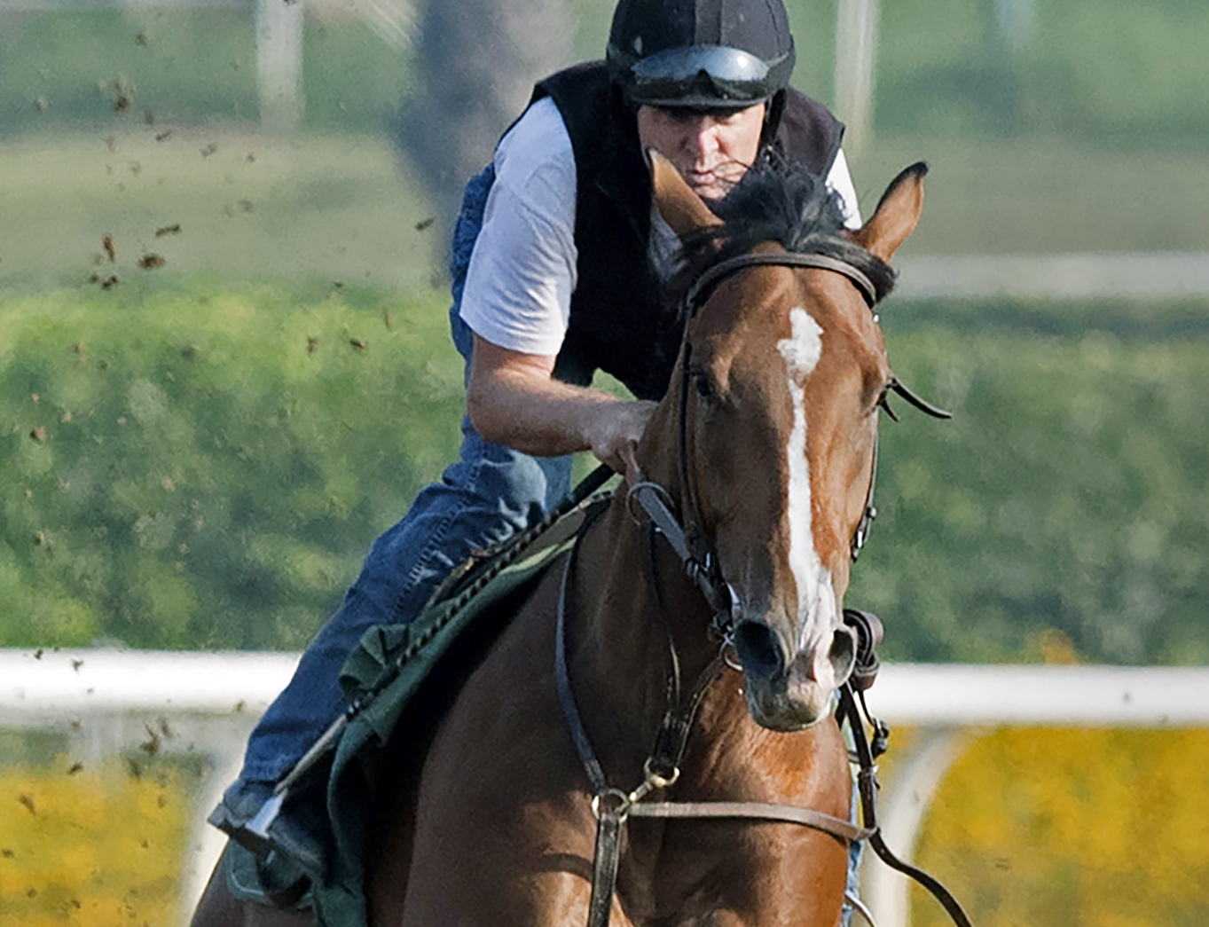 Major Cabbie trains at Saratoga on July 5