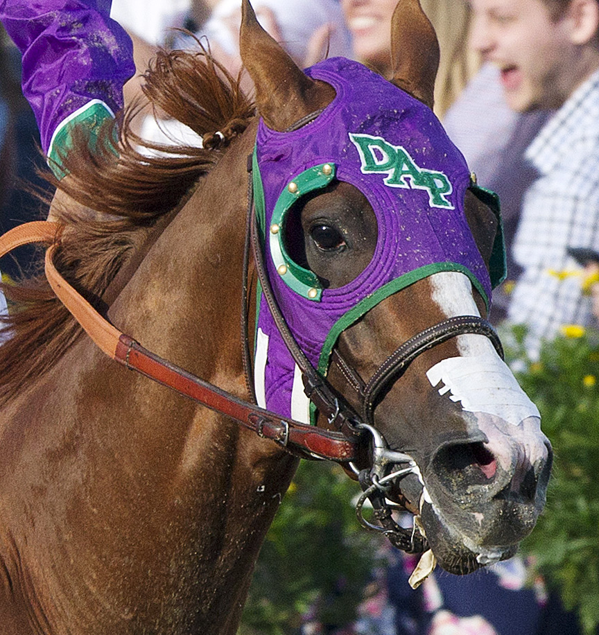 California Chrome nasal strip