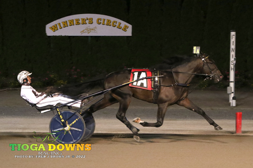 Crown 8-13-22