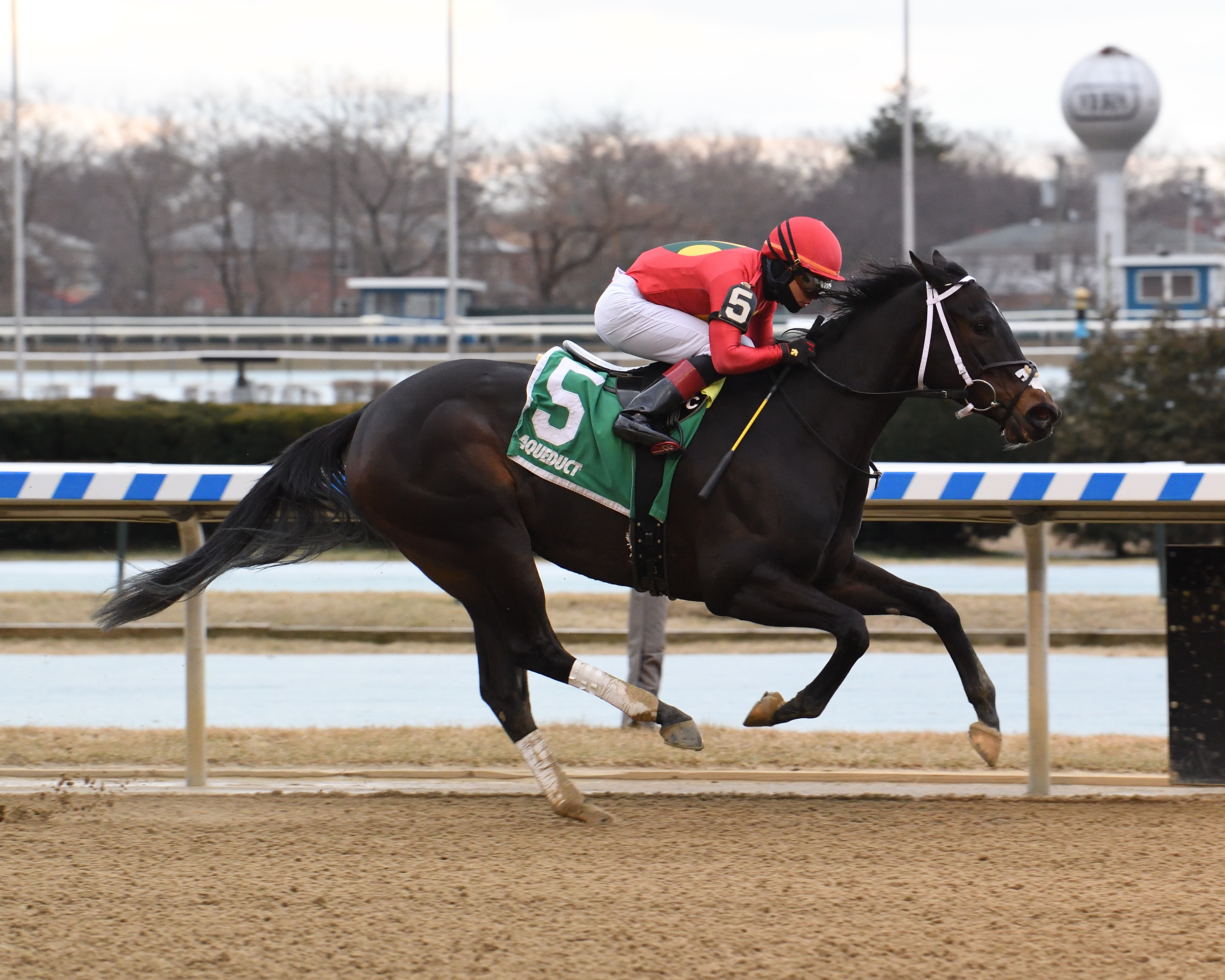 Cruise and Danze wins the 2020 Ruthless Stakes