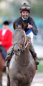 Curlin