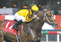 Curlin