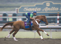 Curlin