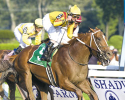 Curlin