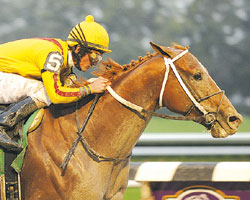 Curlin