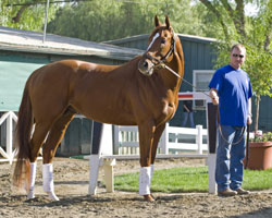 Curlin and Blasi