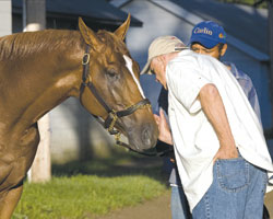 Curlin