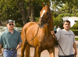 Curlin